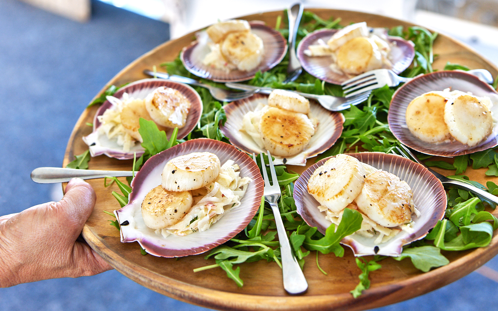 Seared scallops on shells with greens, served on Rottnest Island Luxe Seafood Cruise.