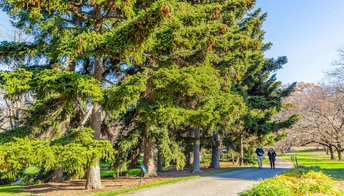 New York Botanical Garden, vibrant flower display in greenhouse, Bronx, New York City.