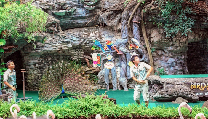 Safari World Bangkok tours