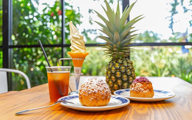 Pineapple ice cream and pastries at Nago Pineapple Park.