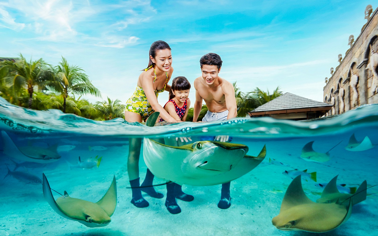 Guests petting a stingray at Adventure Cove Waterpark