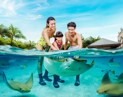 Best Time to Visit SIngapore - Recommened Attractions