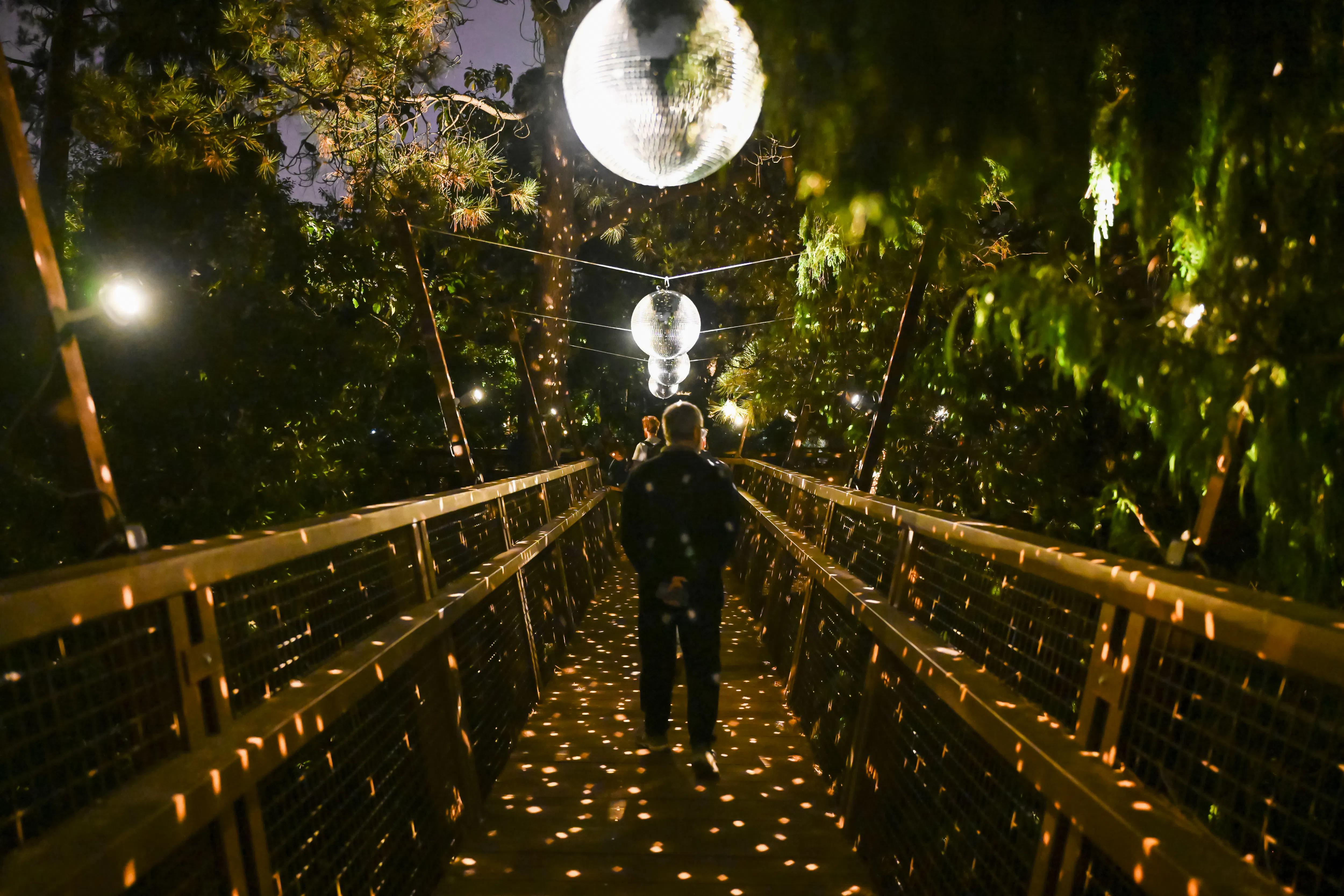 billetter til «serralves in light 2026»-13