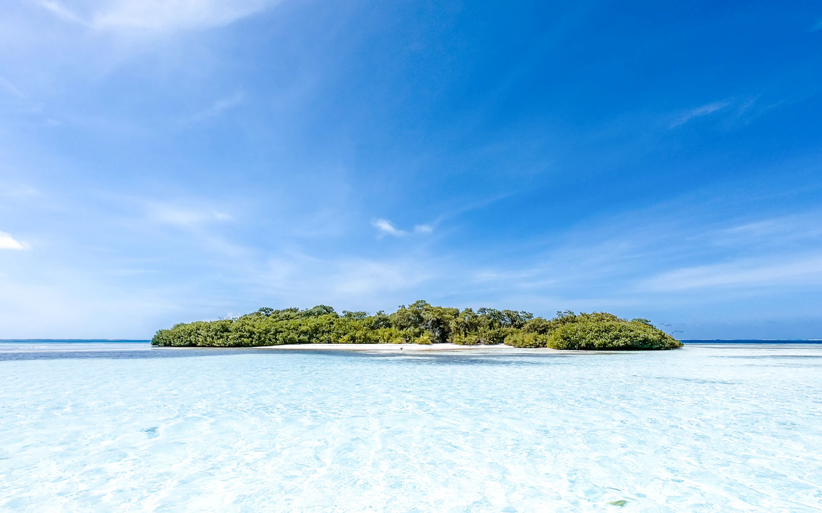 Zanzibar Mnemba Atoll Marine Reserve: Snorkeling & Dolphin Tour with Seafood BBQ Lunch (Product 55540)