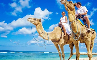premium 2 saatlik deve binme turu: muhteşem çöl ve deniz - hurghada-3