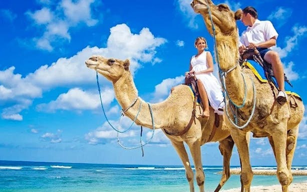 plimbare pe cămilă de 2 ore, pachet premium: deșert și mare uimitoare - hurghada-3