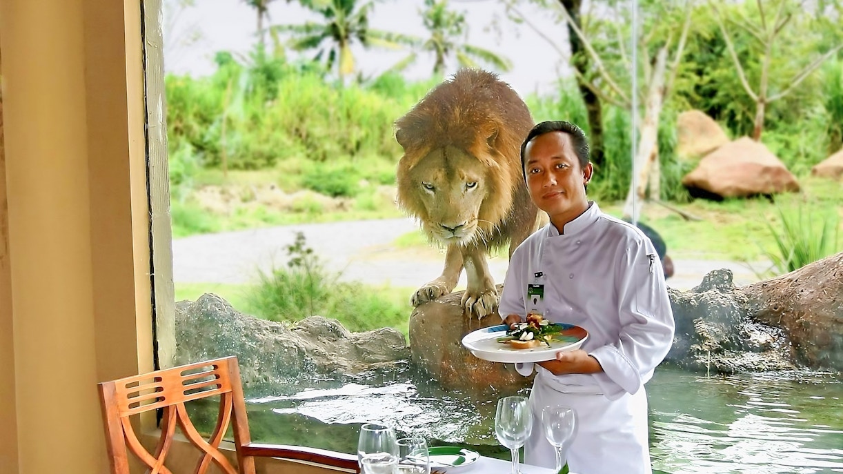 Tsavo Lion Restaurant