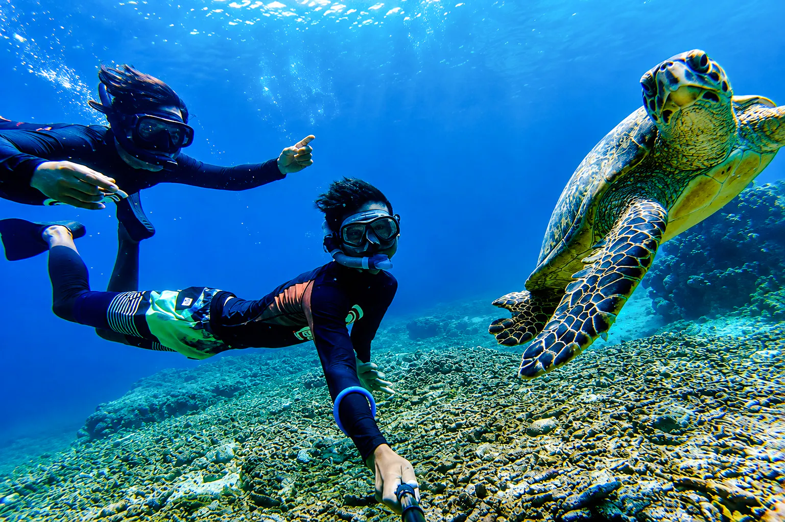 Bali Blue Lagoon Beach Snorkeling Tour at 2 Spots Image 6