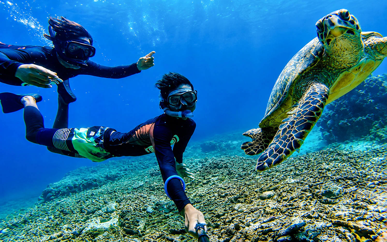 Bali Blue Lagoon Beach Snorkeling Tour at 2 Spots Image 6