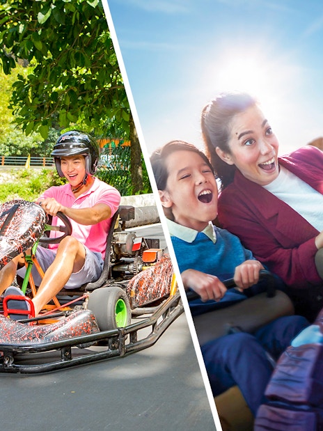 Go-karting at Sunway Lagoon and roller coaster ride at Genting SkyWorlds Theme Park.