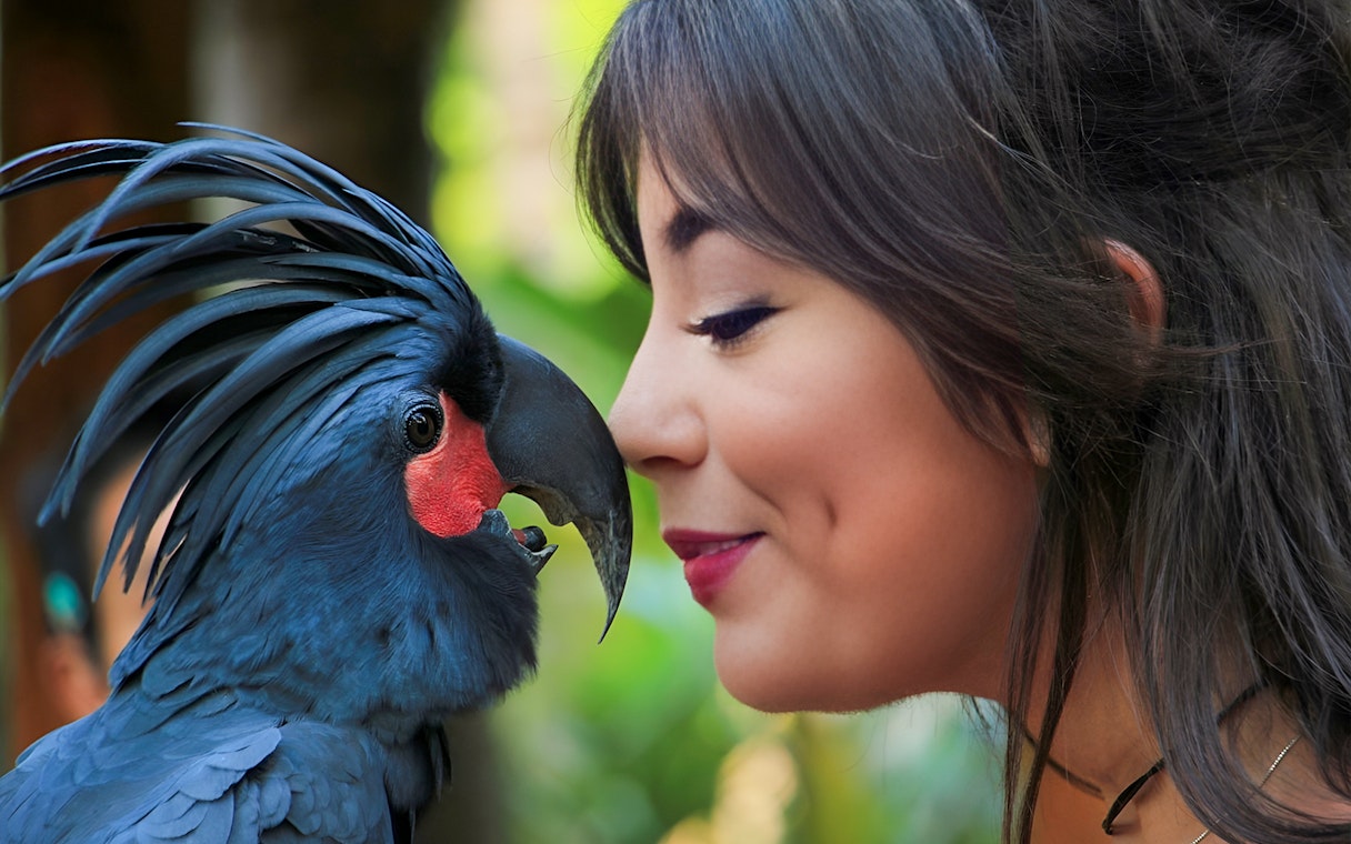 Person interacting with a black parrot at Lombok Wildlife Park.