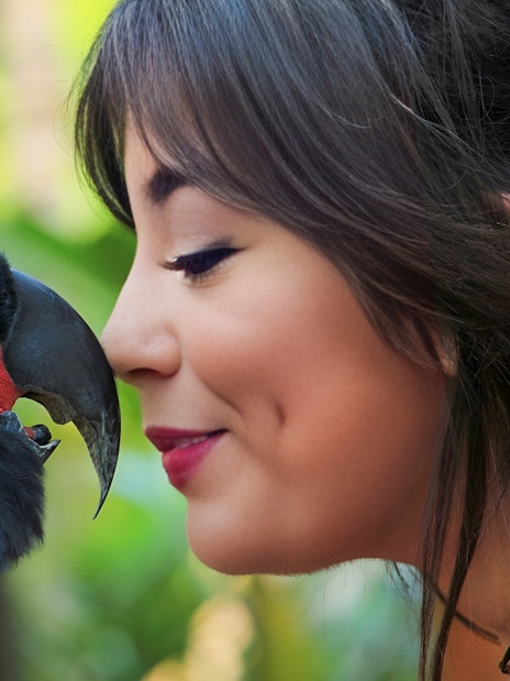Person interacting with a black parrot at Lombok Wildlife Park.