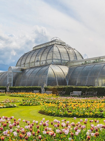 Victorian glasshouse and colorful tulip garden at Kew Gardens, London.