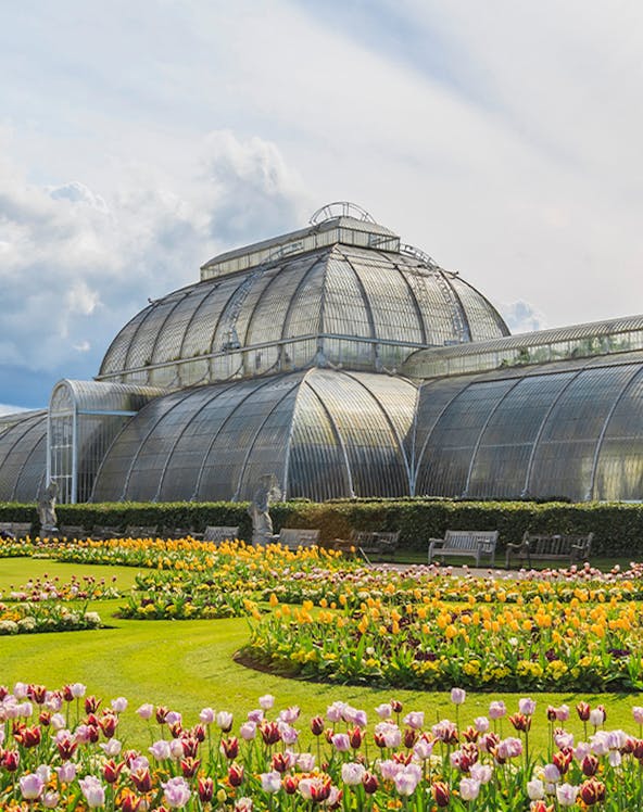 Victorian glasshouse and colorful tulip garden at Kew Gardens, London.