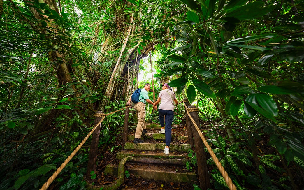 Couple hiking through lush rainforest in Asia, exploring nature trail.