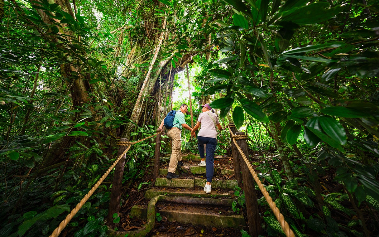 Couple walking up stone steps in lush Asian rainforest.