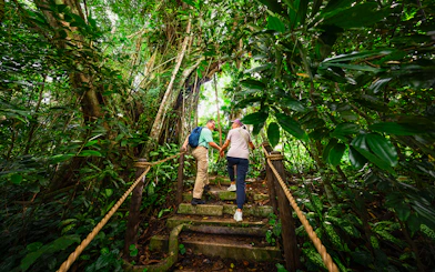Couple hiking through lush rainforest in Asia, exploring nature trail.
