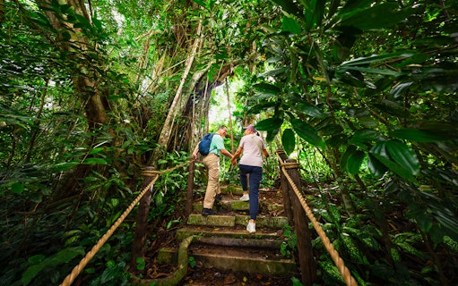 Couple hiking through lush rainforest in Asia, exploring nature trail.