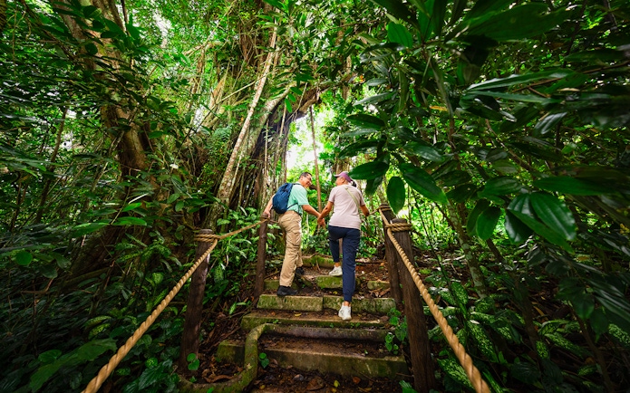 Couple hiking through lush rainforest in Asia, exploring nature trail.