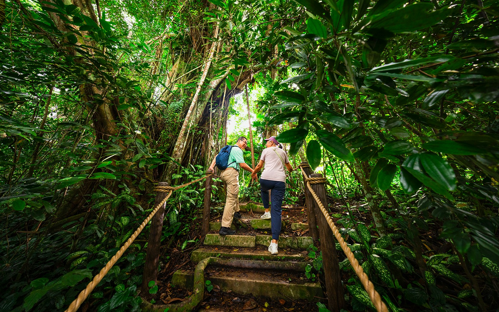 Couple hiking through lush rainforest in Asia, exploring nature trail.