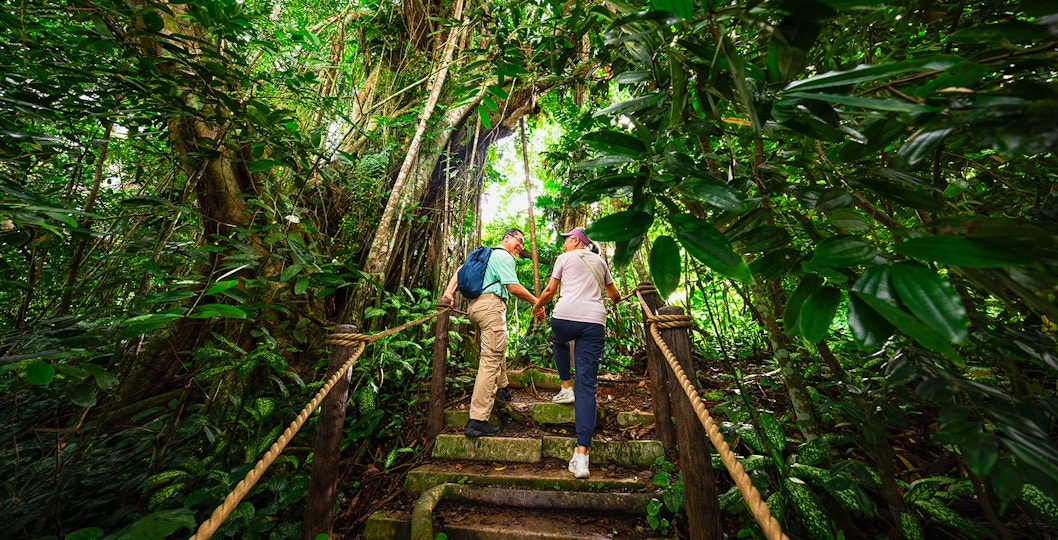 Book Mandai Wildlife Reserve Tickets in Singapore
