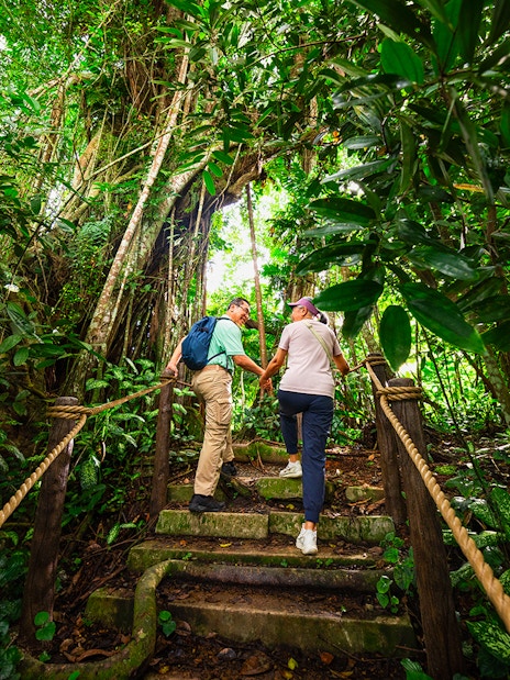 Couple walking up stone steps in lush Asian rainforest.
