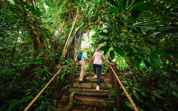 Couple walking up stone steps in lush Asian rainforest.