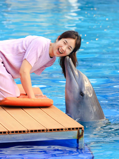 Dolphin interacting with a person at the pool edge during a meet and greet experience.
