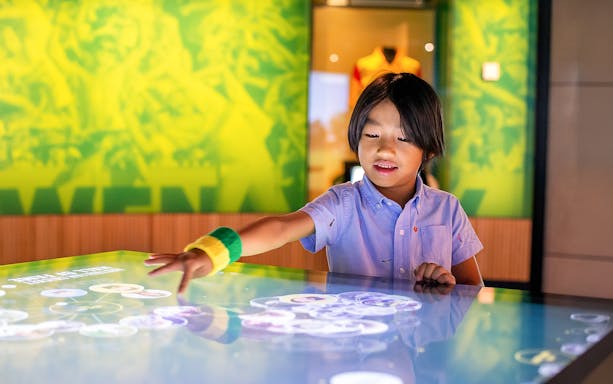 Child interacting with a digital display at the Australian Sports Museum.