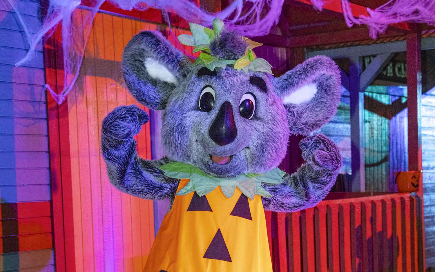 Koala mascot in pumpkin costume at San Diego Zoo Sydney during Halloween event.