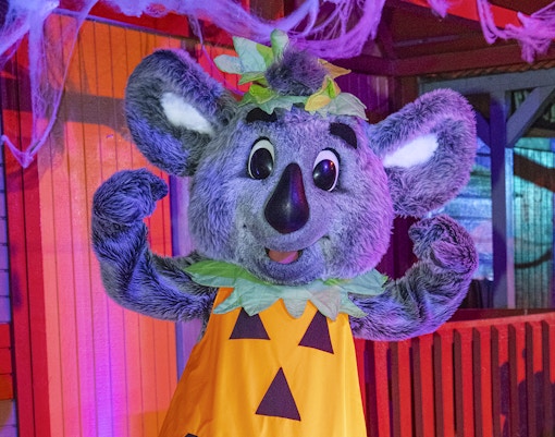 Koala mascot in pumpkin costume at San Diego Zoo Sydney during Halloween event.