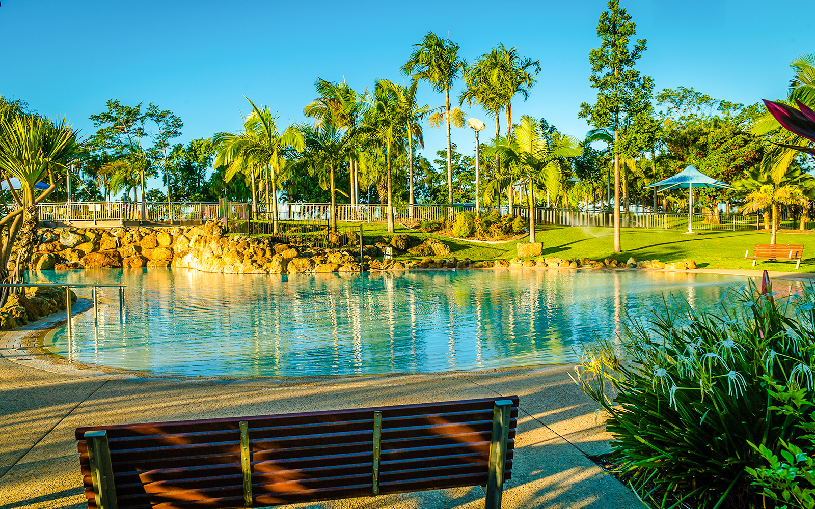 Lagoon swimming pool surrounded by lush greenery at a hotel.