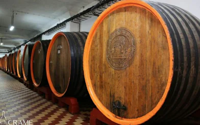 Wine barrels in cellar at Murfatlar and Domeniile Mitroi Wineries, Constanta.