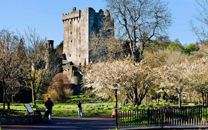 Blarney Castle exterior with surrounding gardens in County Cork, Ireland.