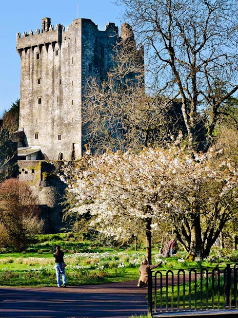 Blarney Castle exterior with surrounding gardens in County Cork, Ireland.