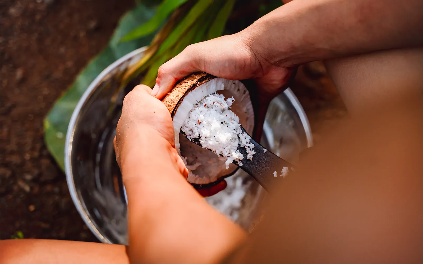Grating coconut at Mauka Warriors Luau in Hawaii.
