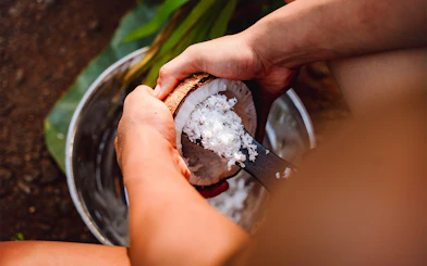 Grating coconut at Mauka Warriors Luau in Hawaii.