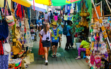 Ubud Highlights Private Tour with Entry Fees Included: Monkey Forest, Tirta Empul, Waterfall & Rice Terrace