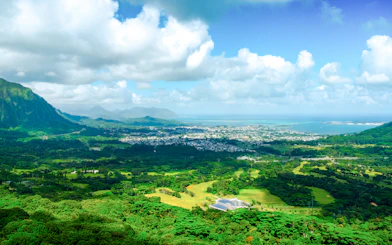 Aerial view of lush green landscape and ocean from Pali Lookout, Hawaii.