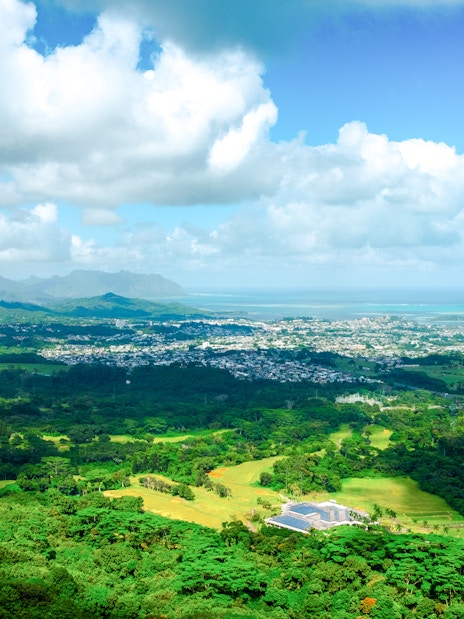 Aerial view of lush green landscape and ocean from Pali Lookout, Hawaii.