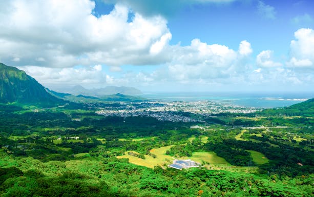 Aerial view of lush green landscape and ocean from Pali Lookout, Hawaii.