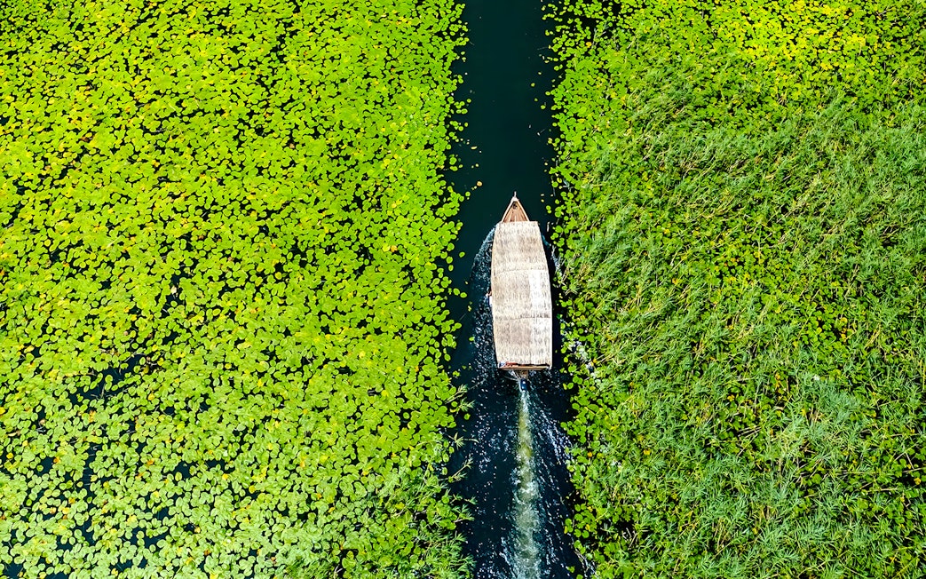 Wooden boat navigating through lily pads on Lake Skadar during a guided sightseeing tour.