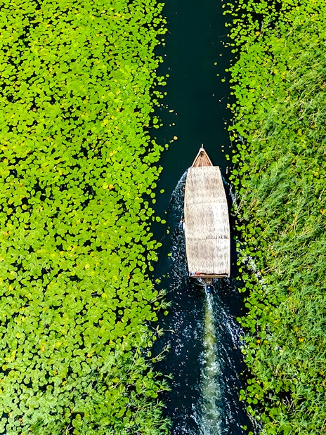 Wooden boat navigating through lily pads on Lake Skadar during a guided sightseeing tour.