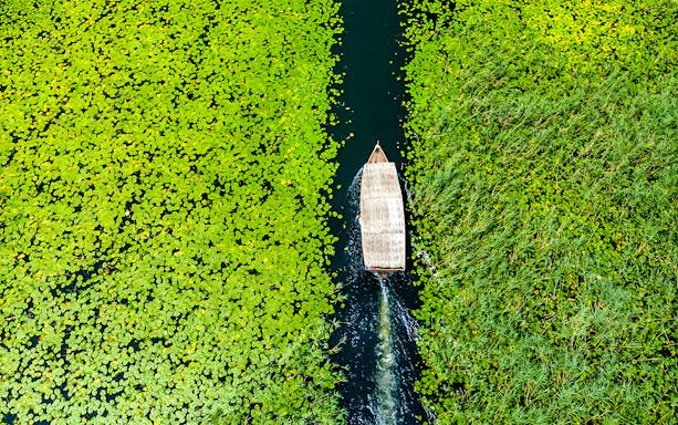 Wooden boat navigating through lily pads on Lake Skadar during a guided sightseeing tour.