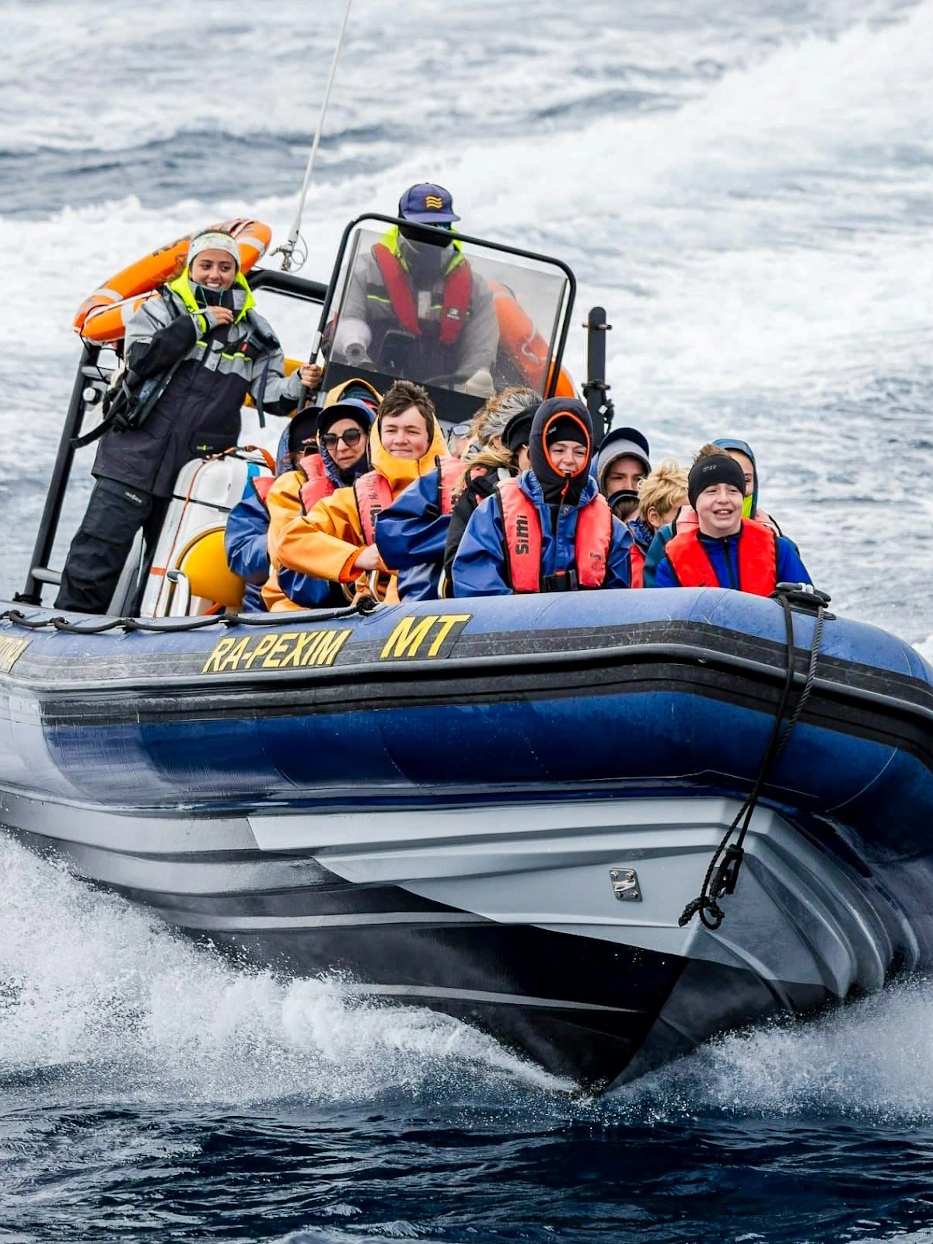 são miguel: passeio de barco para observação de baleias-1