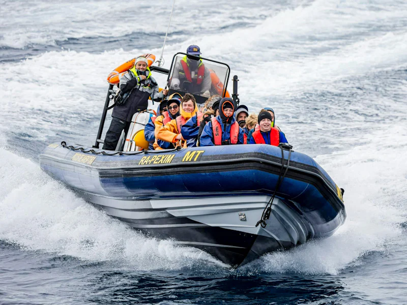 Sao Miguel Whale Watching Boat Tour - Ponta Delgada