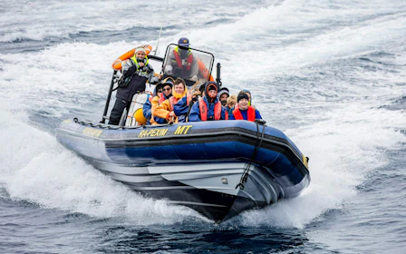 São Miguel: Whale Watching Boat Tour