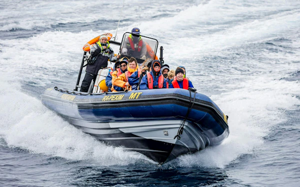 São Miguel: Whale Watching Boat Tour