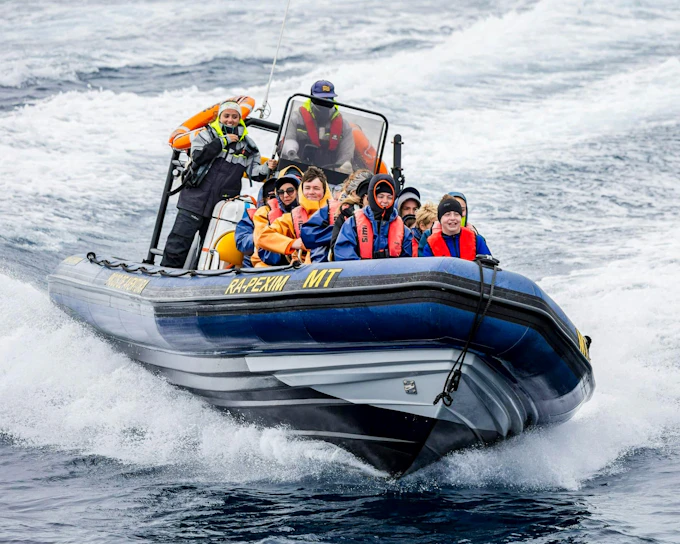 São Miguel: Whale Watching Boat Tour