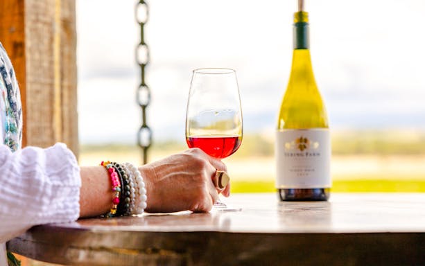 da melbourne: tour dei vini della yarra valley con visita a 4 cantine e pranzo gourmet alla balgownie estate-4